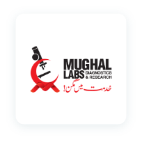 mughal